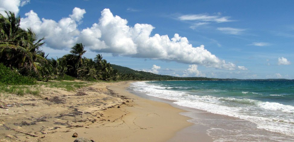 Playa Grande, , Puerto Rico